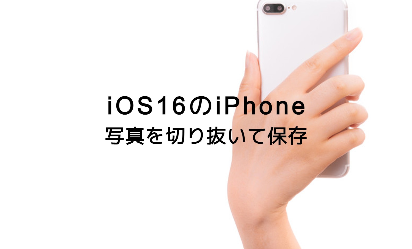 iOS17のiPhoneで写真を切り抜きして保存するやり方は？のサムネイル画像